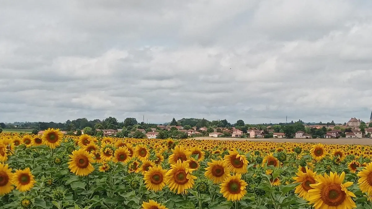 Gîtes Ain's Temps Bugey