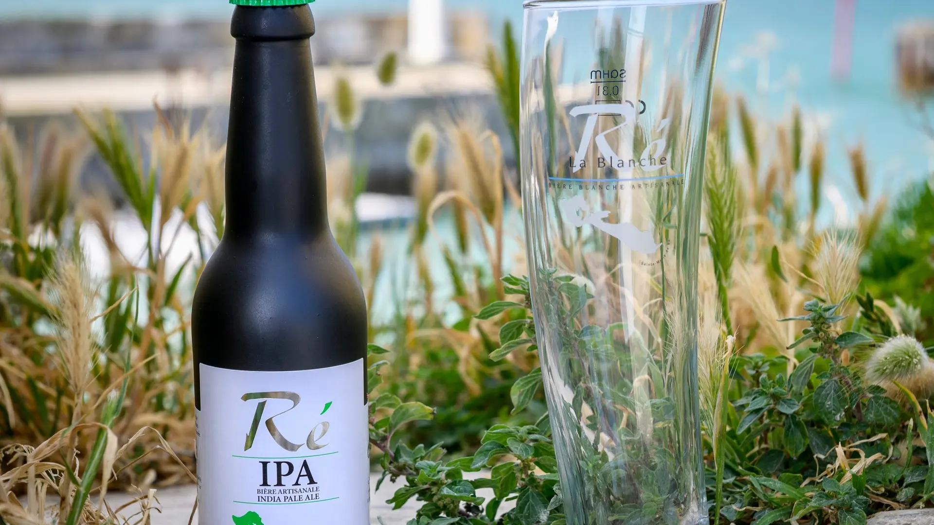 L'IPA des Bières de Ré