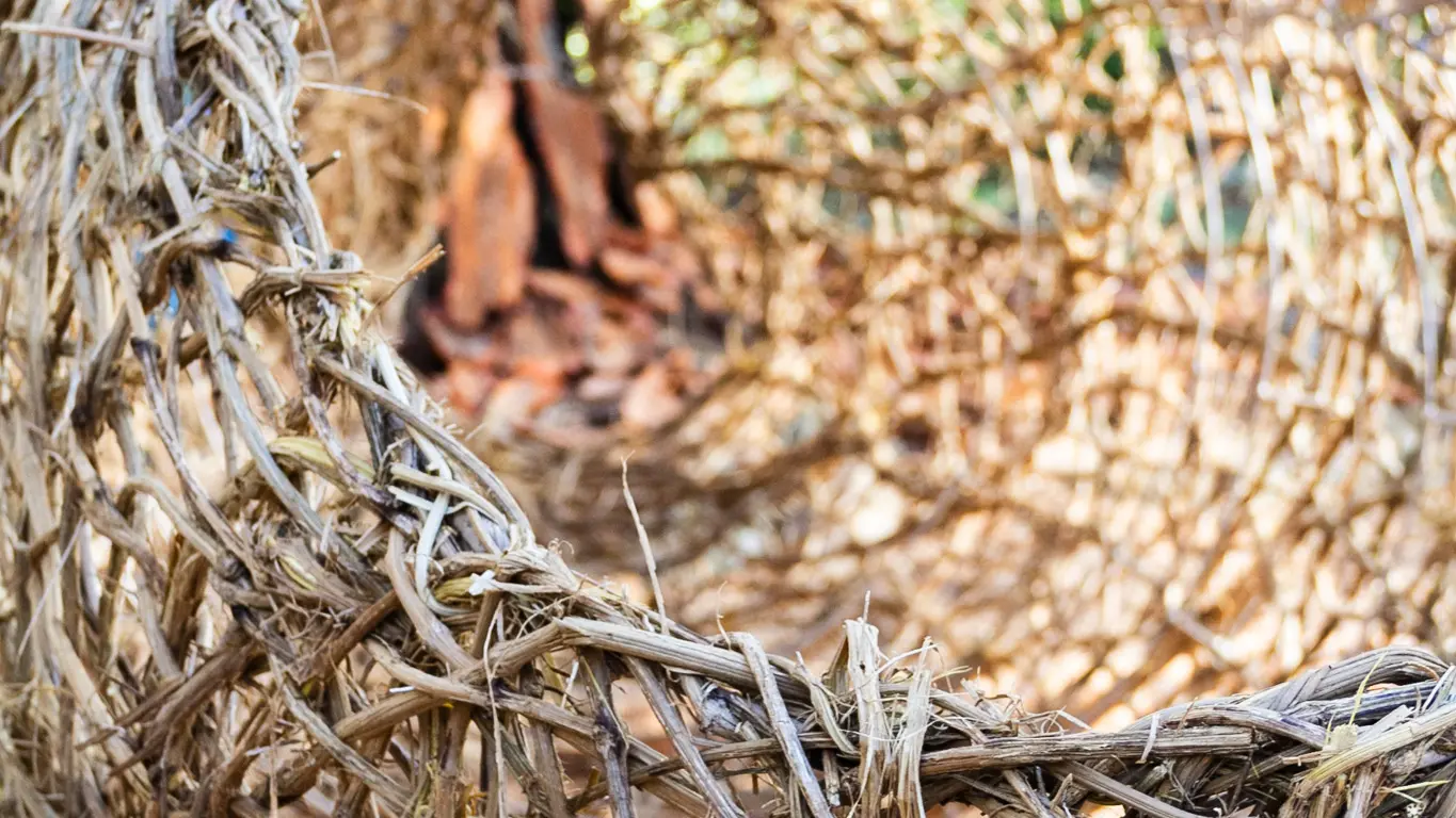Oeuvre de Véronique Matteudi
