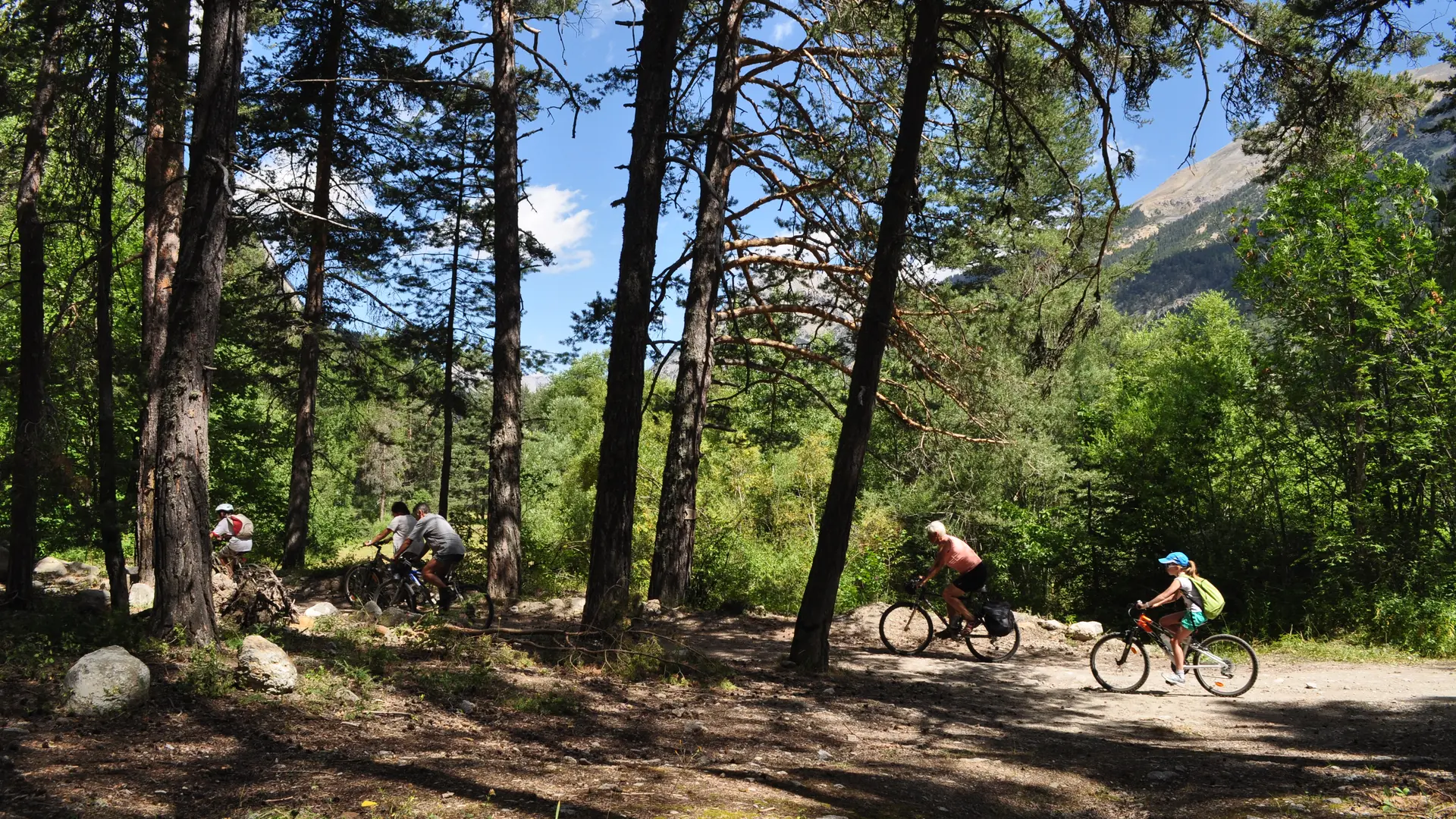 Balade en VTT dans les bois