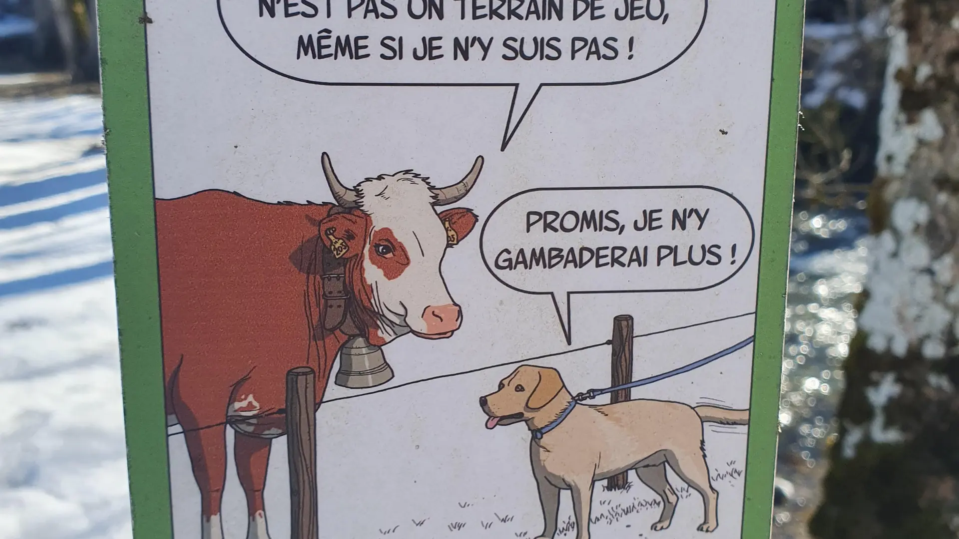 Panneau BDD