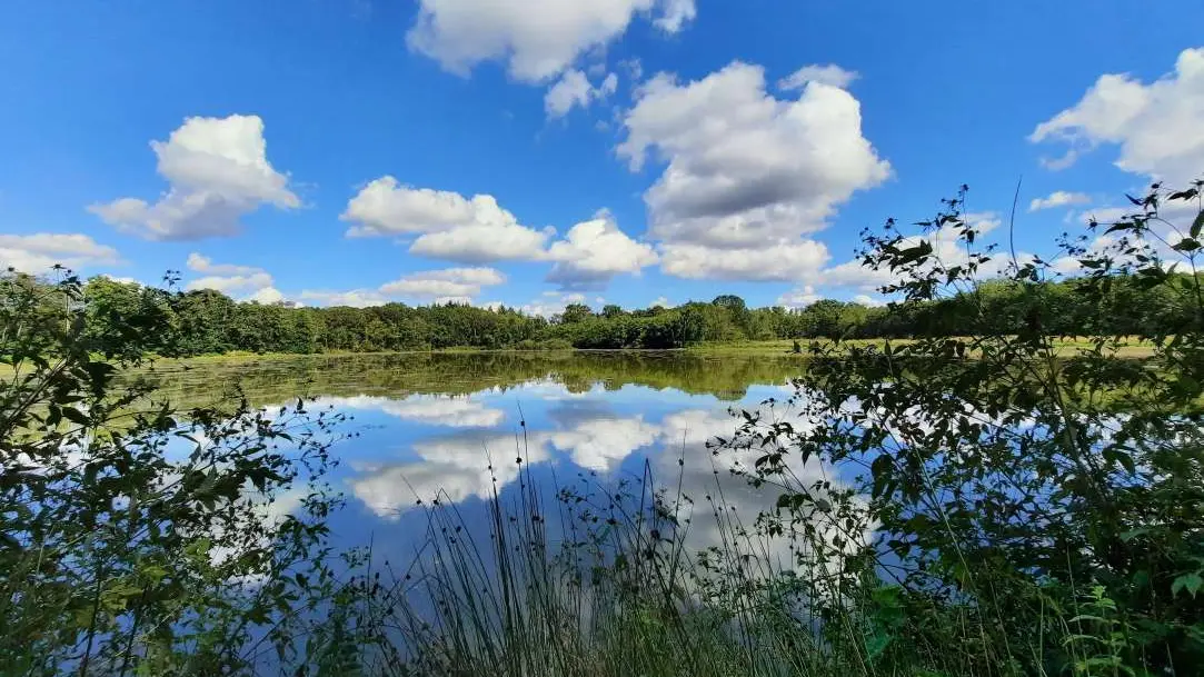 Etang de la Dombes Saint Nizier