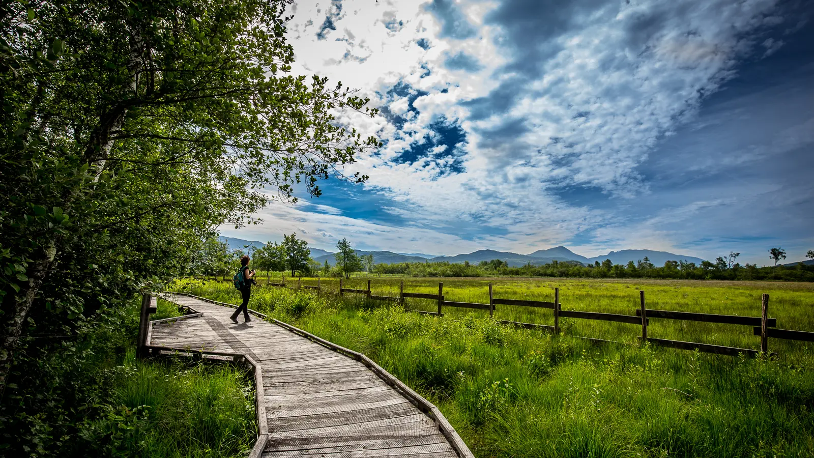 Sentier accessible