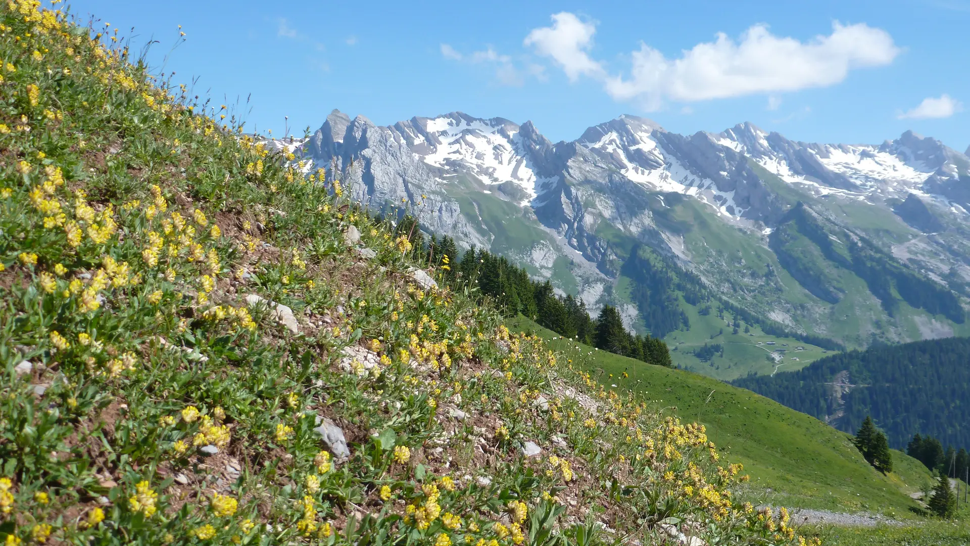 Le tour du Lachat