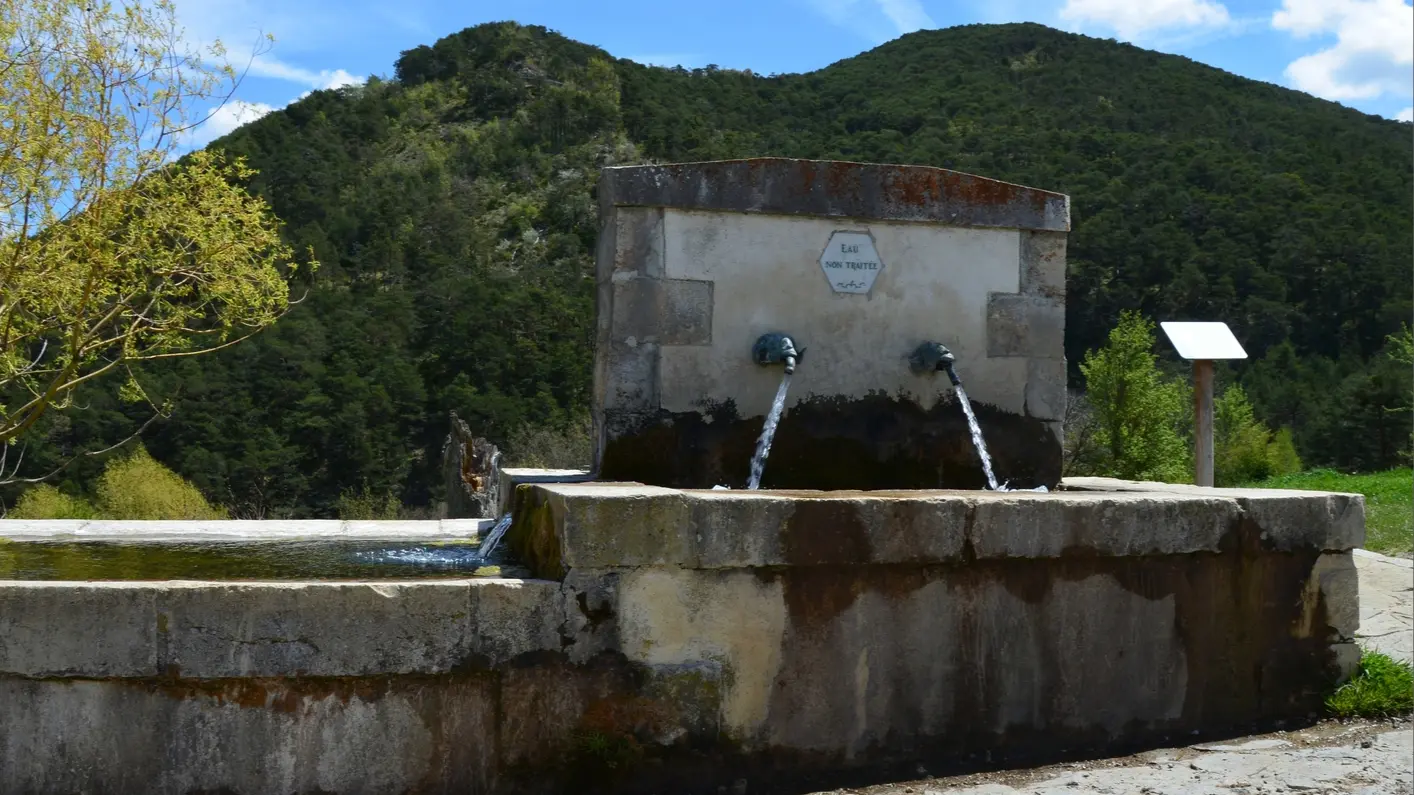 Fontaine des Henri constitué de 2 bassins avec des gargouilles en fer