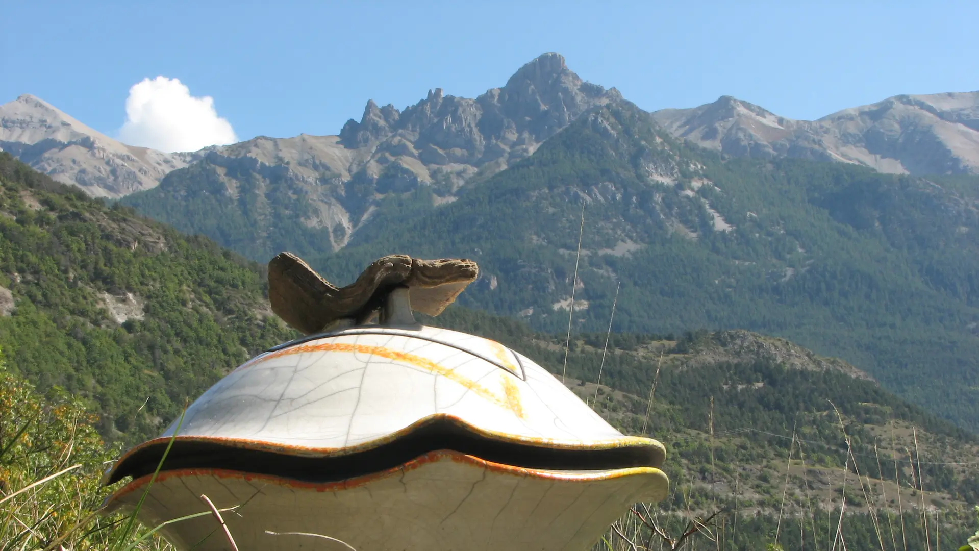 Grande boite D~40 cm La poignée du couvercle est un caillou plissé trouvé vers 2600m sur les pentes du Peyron (2744m).