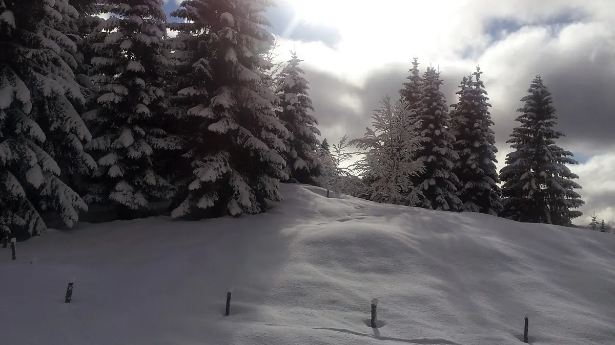 Randonnée en Bauges