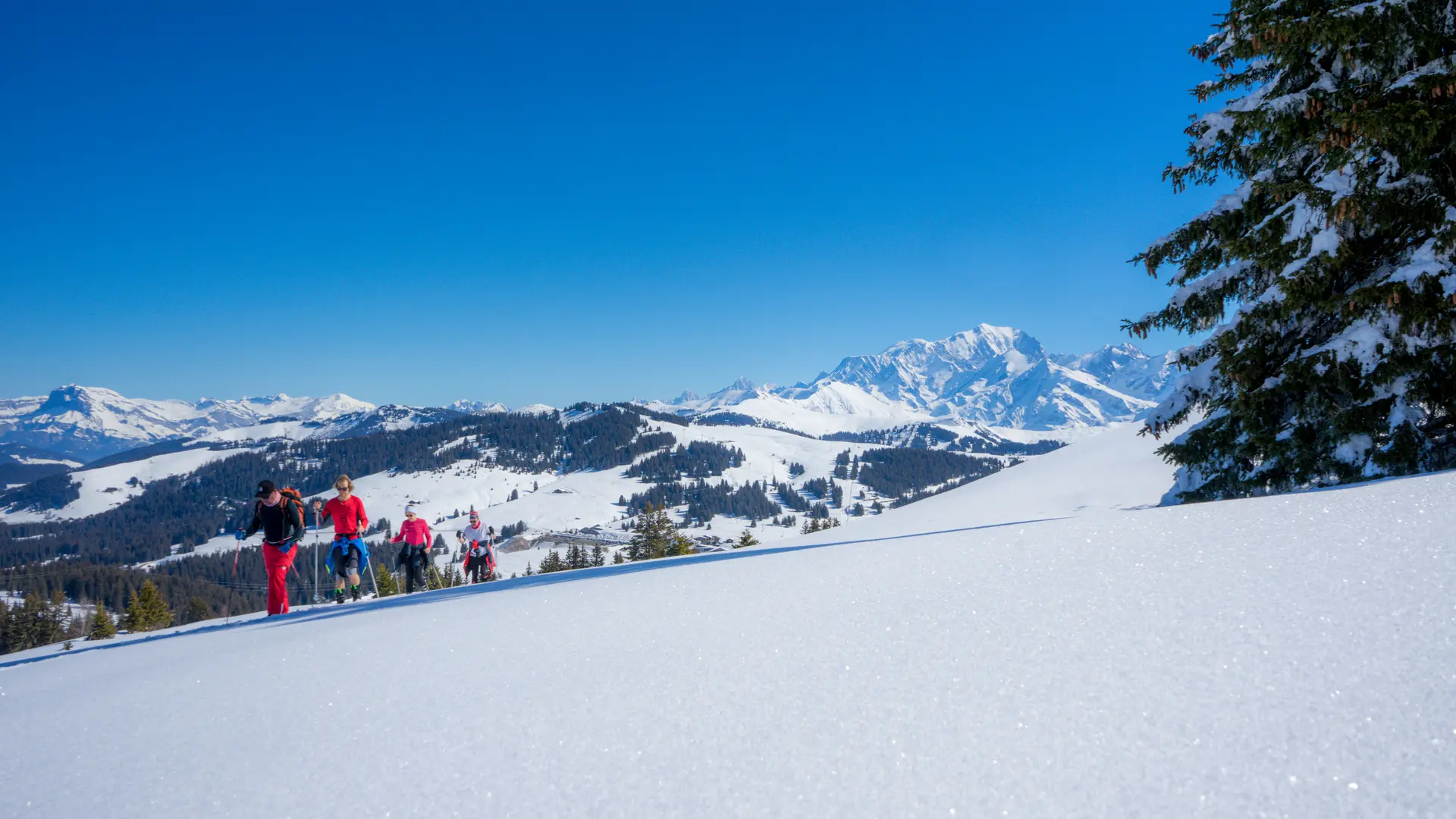 Leash ski de randonnée les Saisies