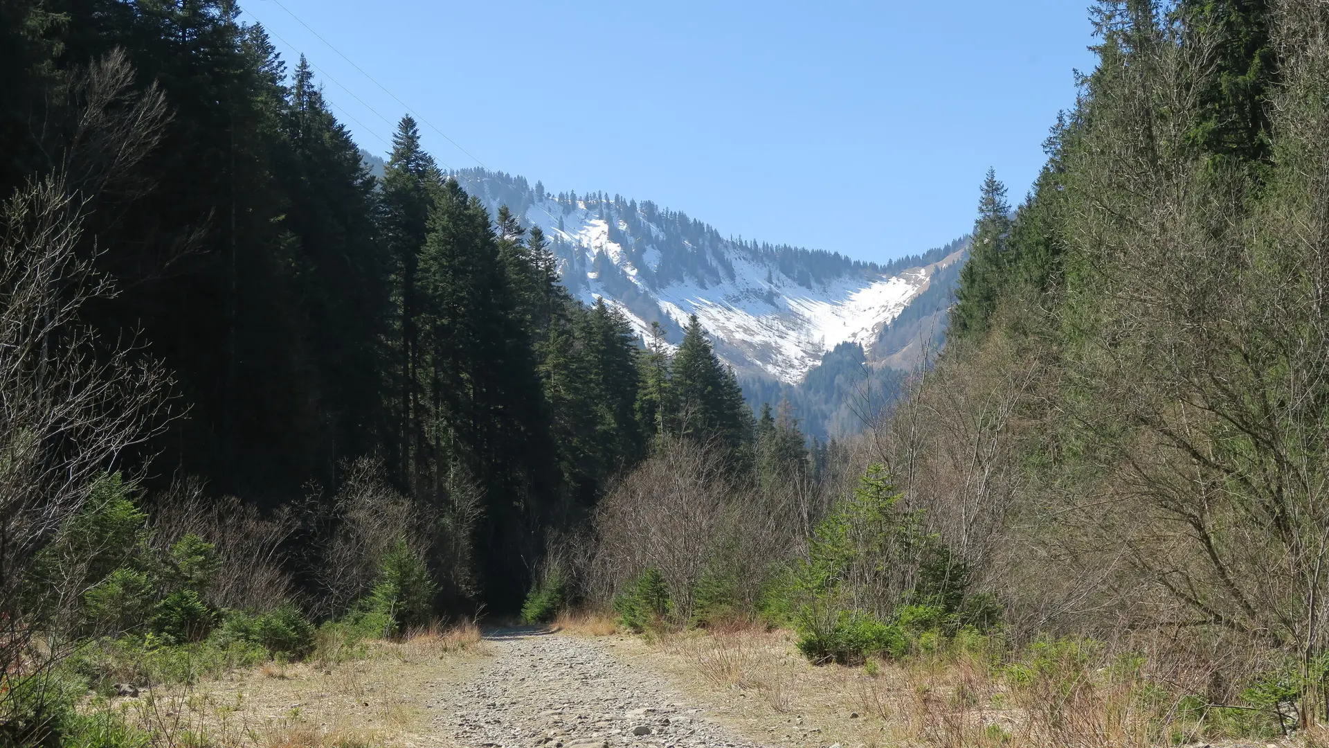 Chemin le long du torrent