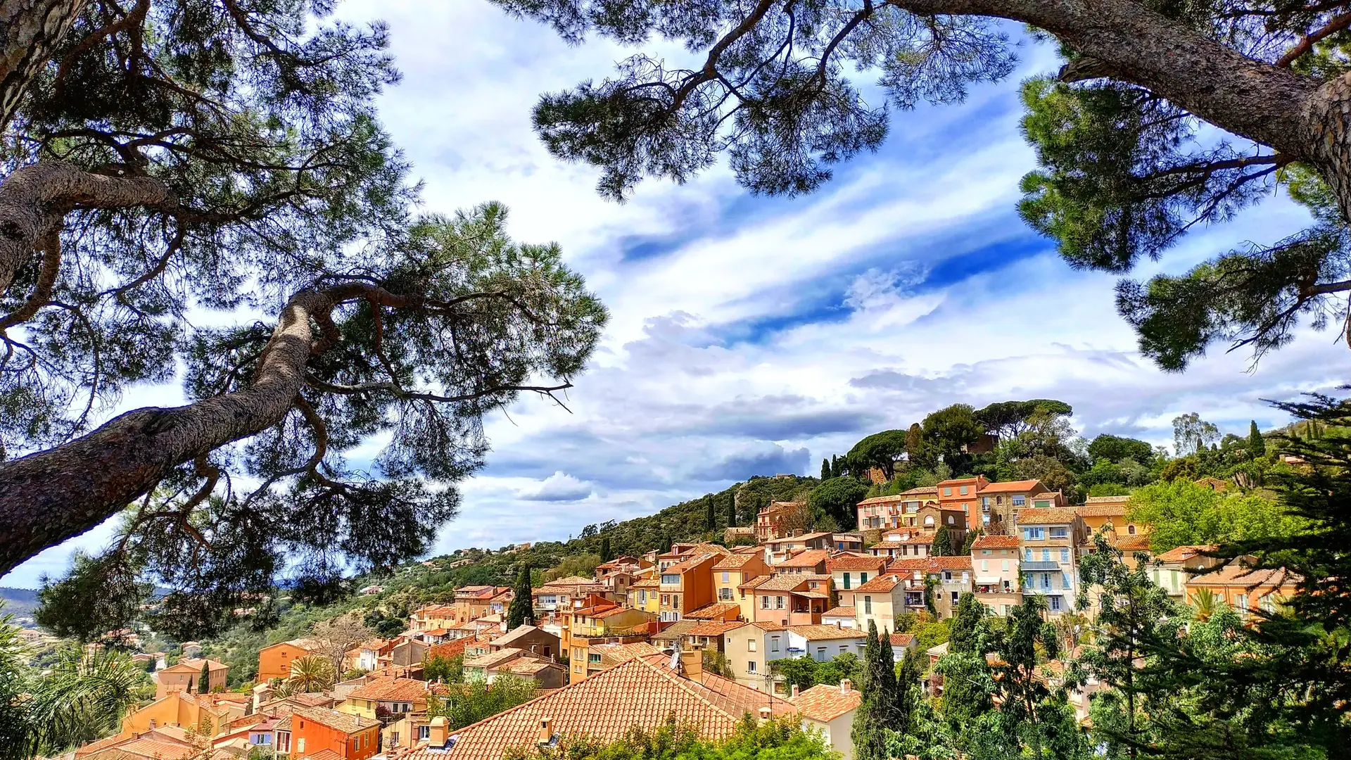 Journée Groupes Le Lavandou et Bormes Les mimosas, grain de sable et de mimosa