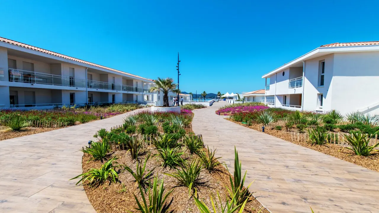 Pin Rolland - St Mandrier sur mer