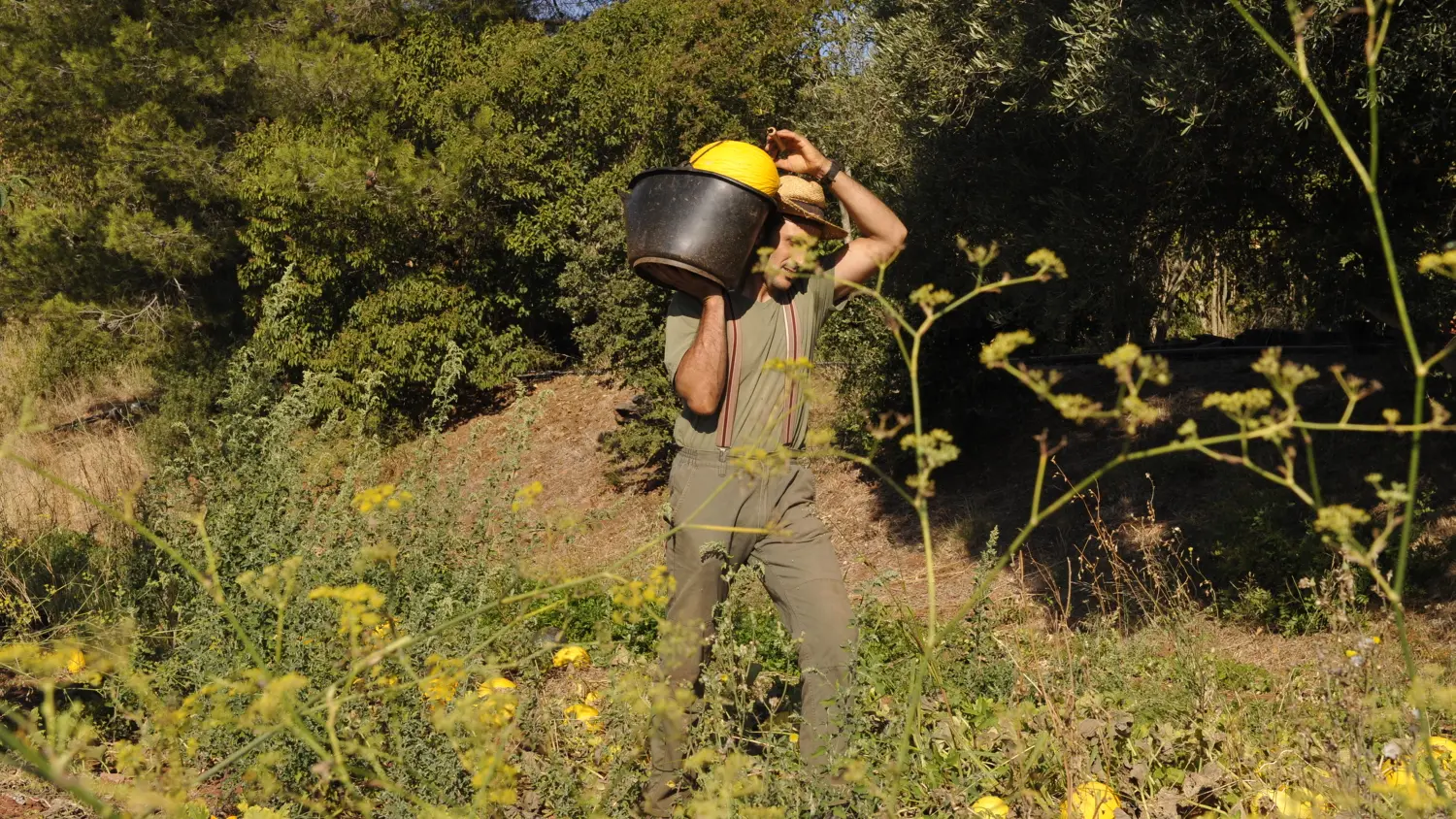 Domaine de Fabrégas, exploitation agricole