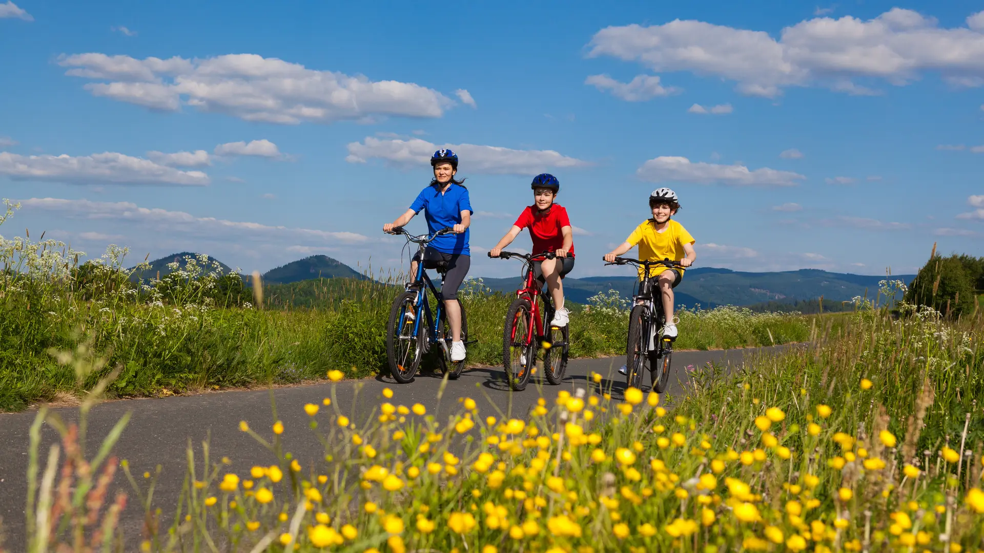 Prolynx Sports, balades en VTT - vélos électriques