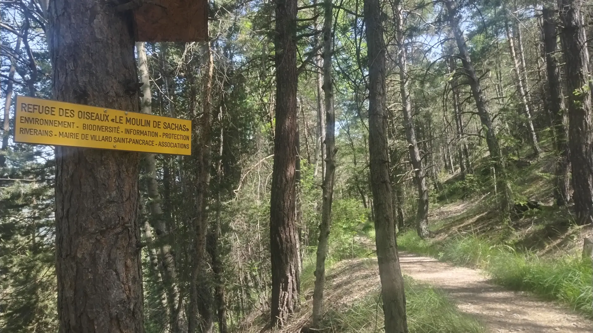 Panneau le moulin de Sachas