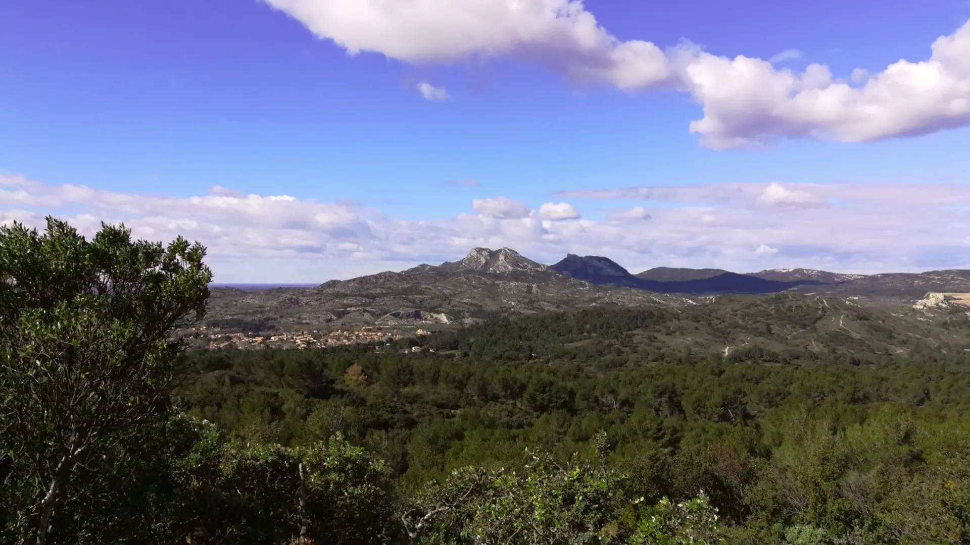 Vue sur les Alpilles