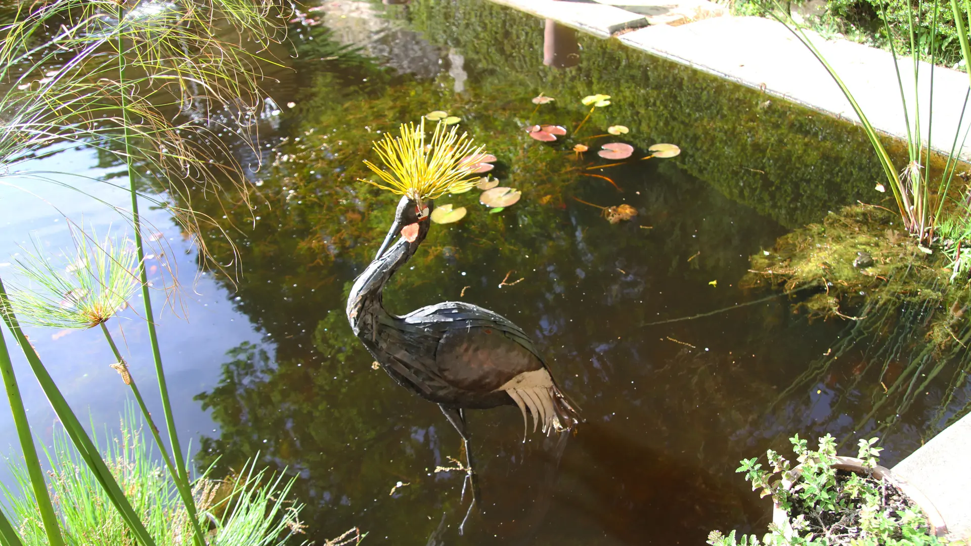 Jardin Serre de la Madone