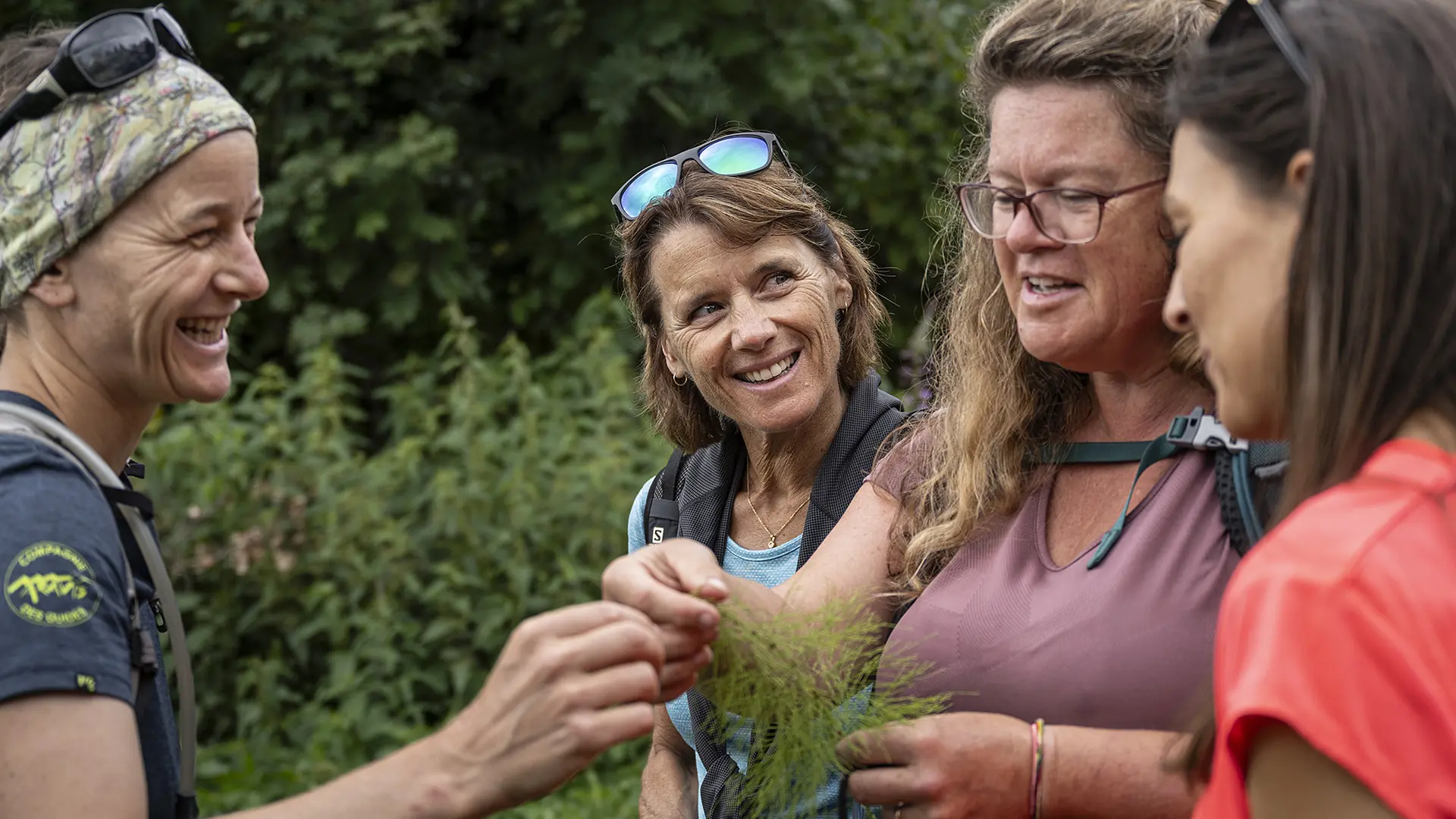 découverte des vertus culinaires des plantes de montagnes