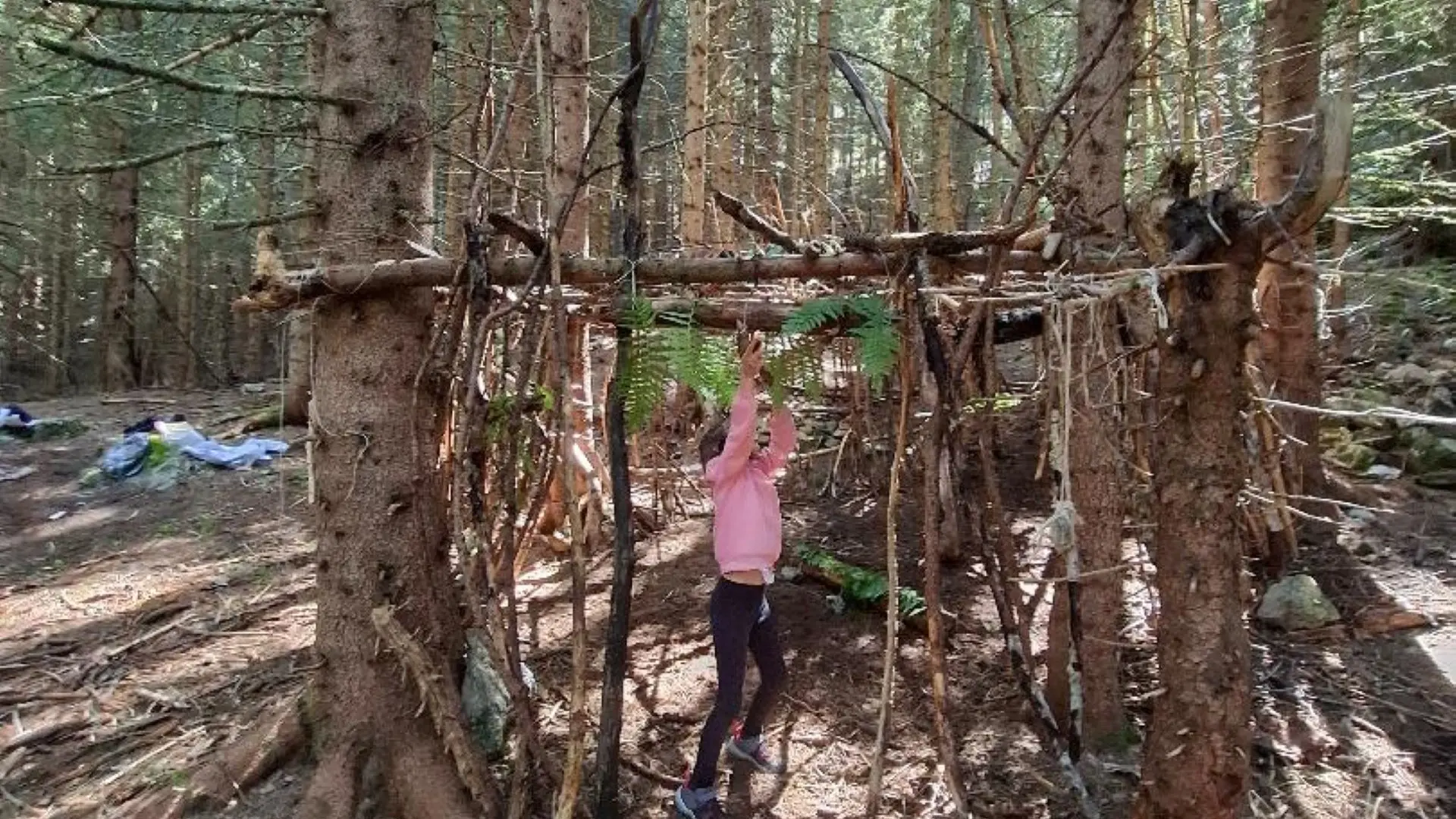 Evolution 2 Sainte Foy