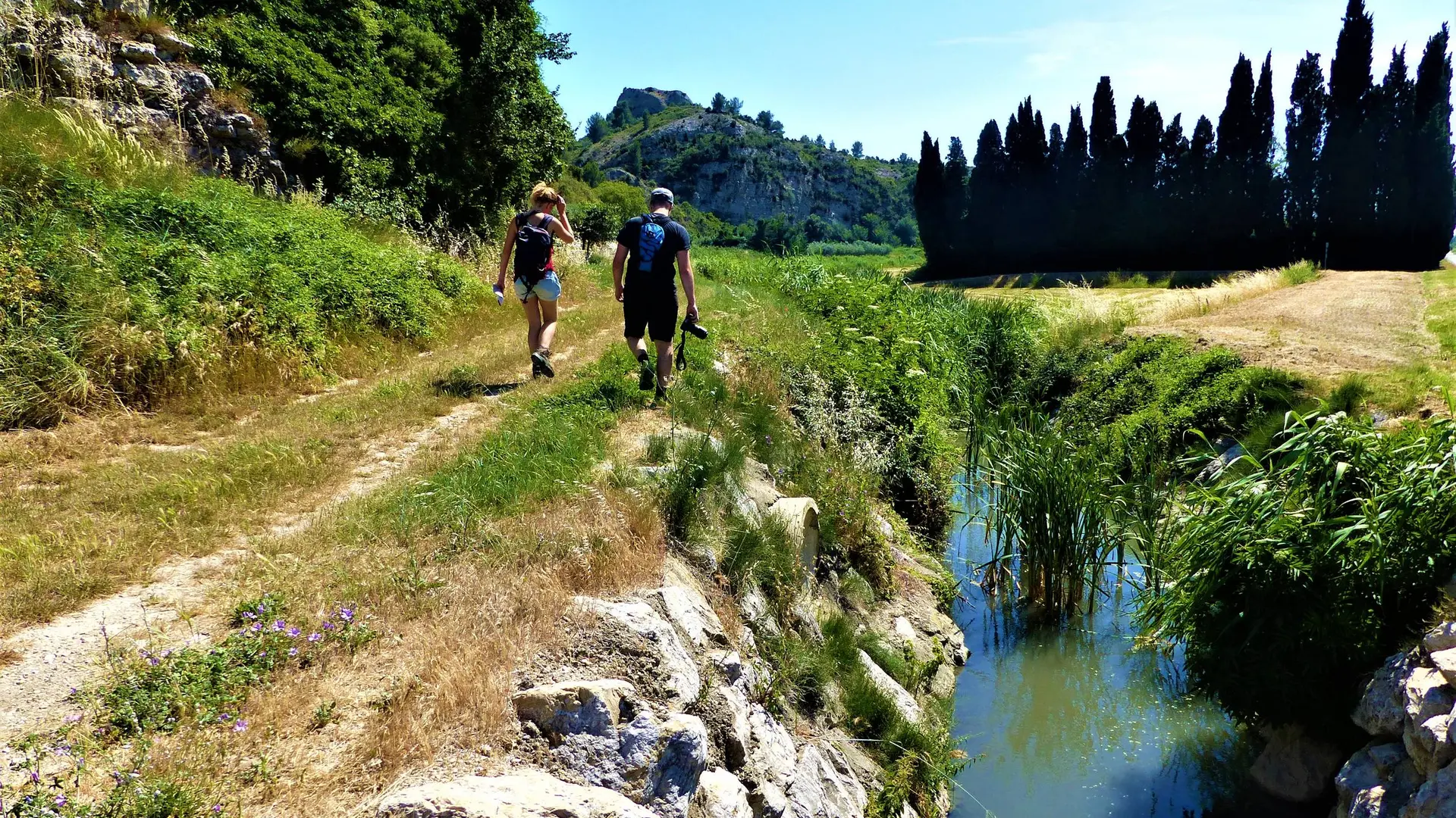 Entre plaine et Montagnette