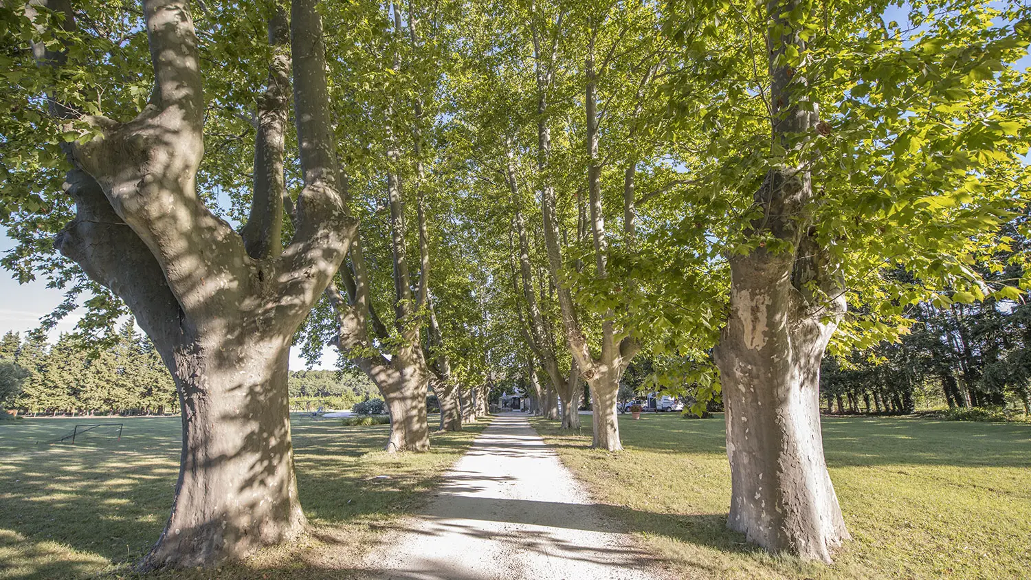 Extérieur - Le Mas de Loisonville