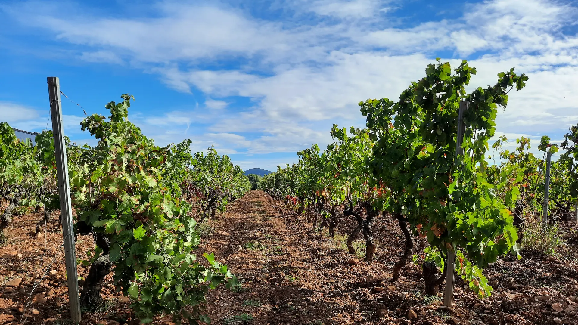 Château Tour Saint Honoré La Londe les Maures