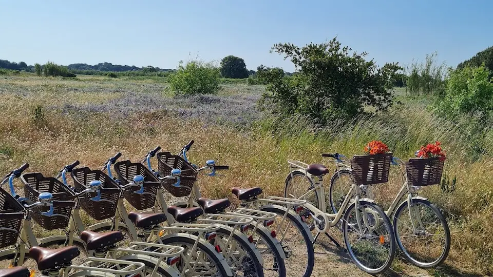 Livraison pour les mariages