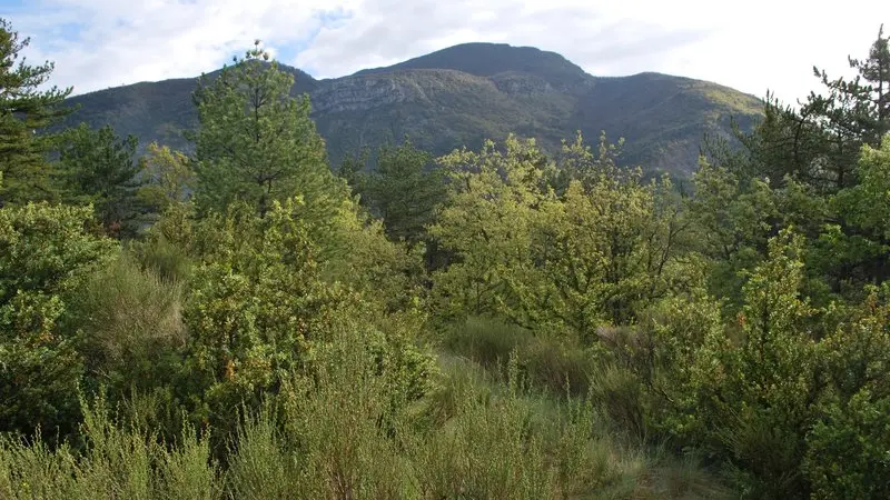 Vue sur le sentier