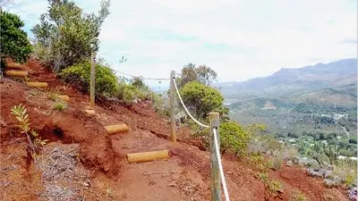 En pleine ascension du Mont Goumba...