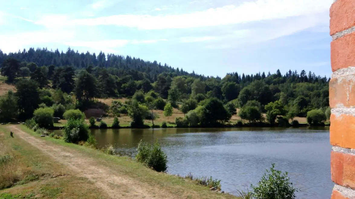 Vue de l'étang situé sur le Domaine