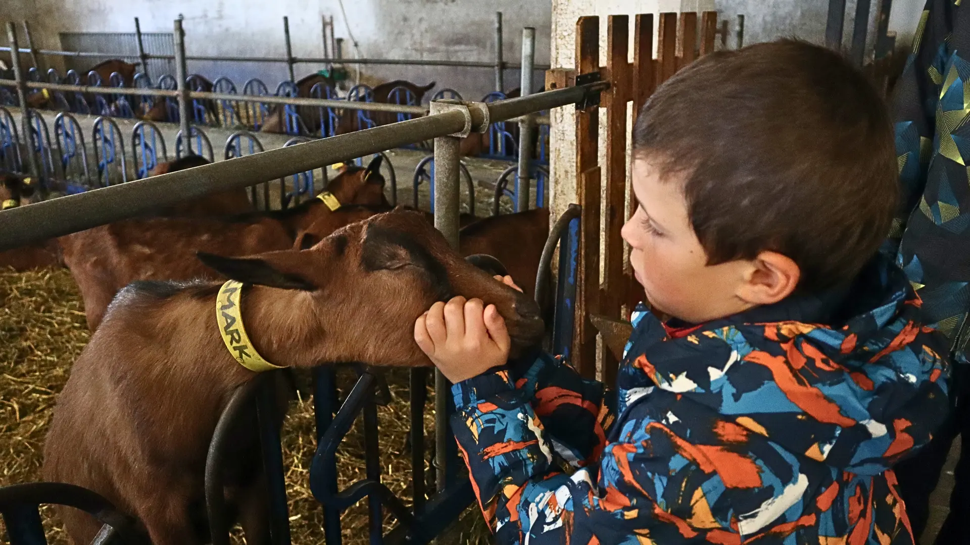 MarcoRandos - Randonnées gourmandes_Orcières