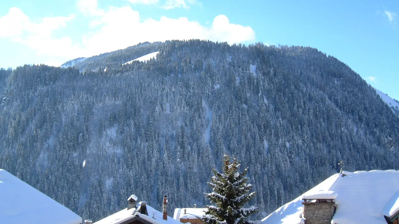 Vue sur le Mont de Grange depuis le balcon