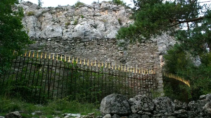 herman de vries, le sanctuaire de la nature et son bois sacré, 1999-2003, Collection musée Gassendi