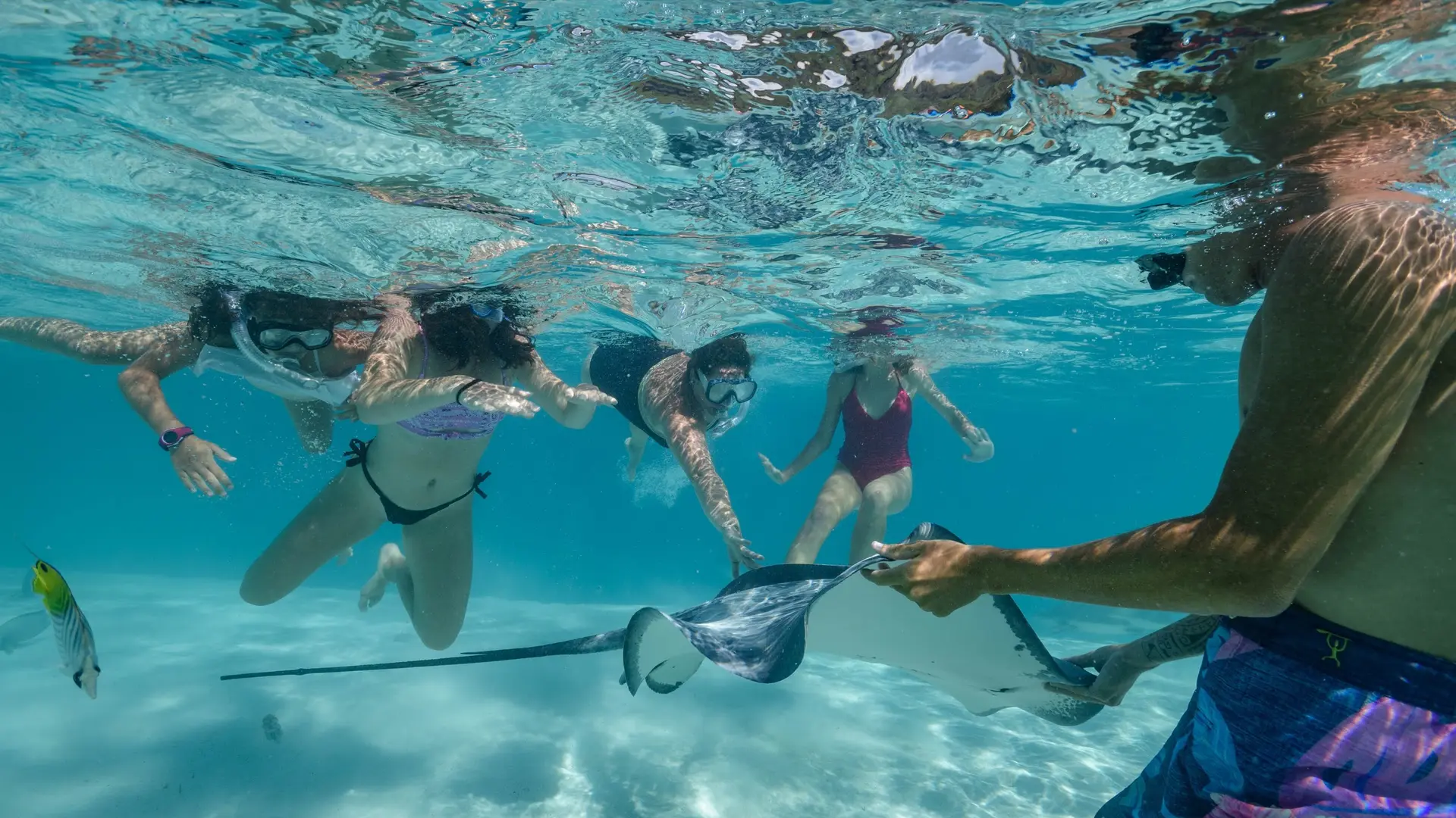 Nemoz Diving Center Moorea