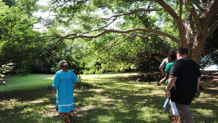 camping, terrain, vert hienghène, frères et soeurs