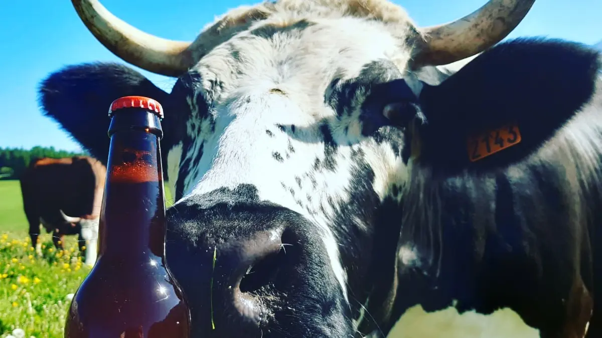 Bière la Bure