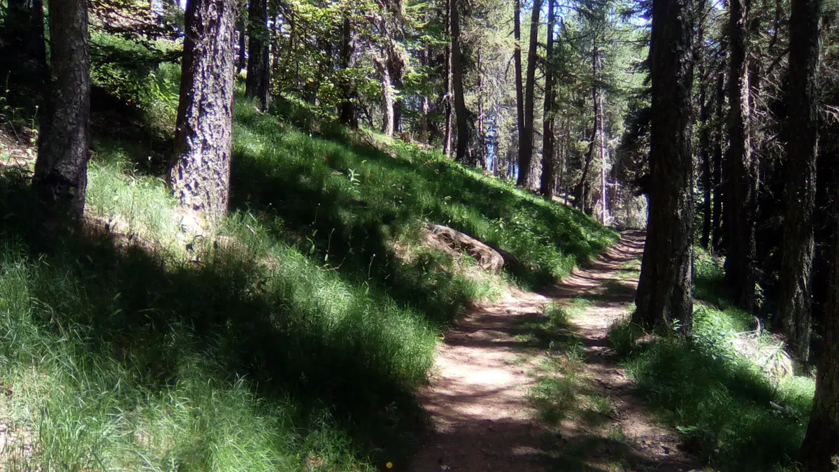 Itinéraire de randonnée jusqu'au Col du Viallet, Chaillol, vallée du Champsaur