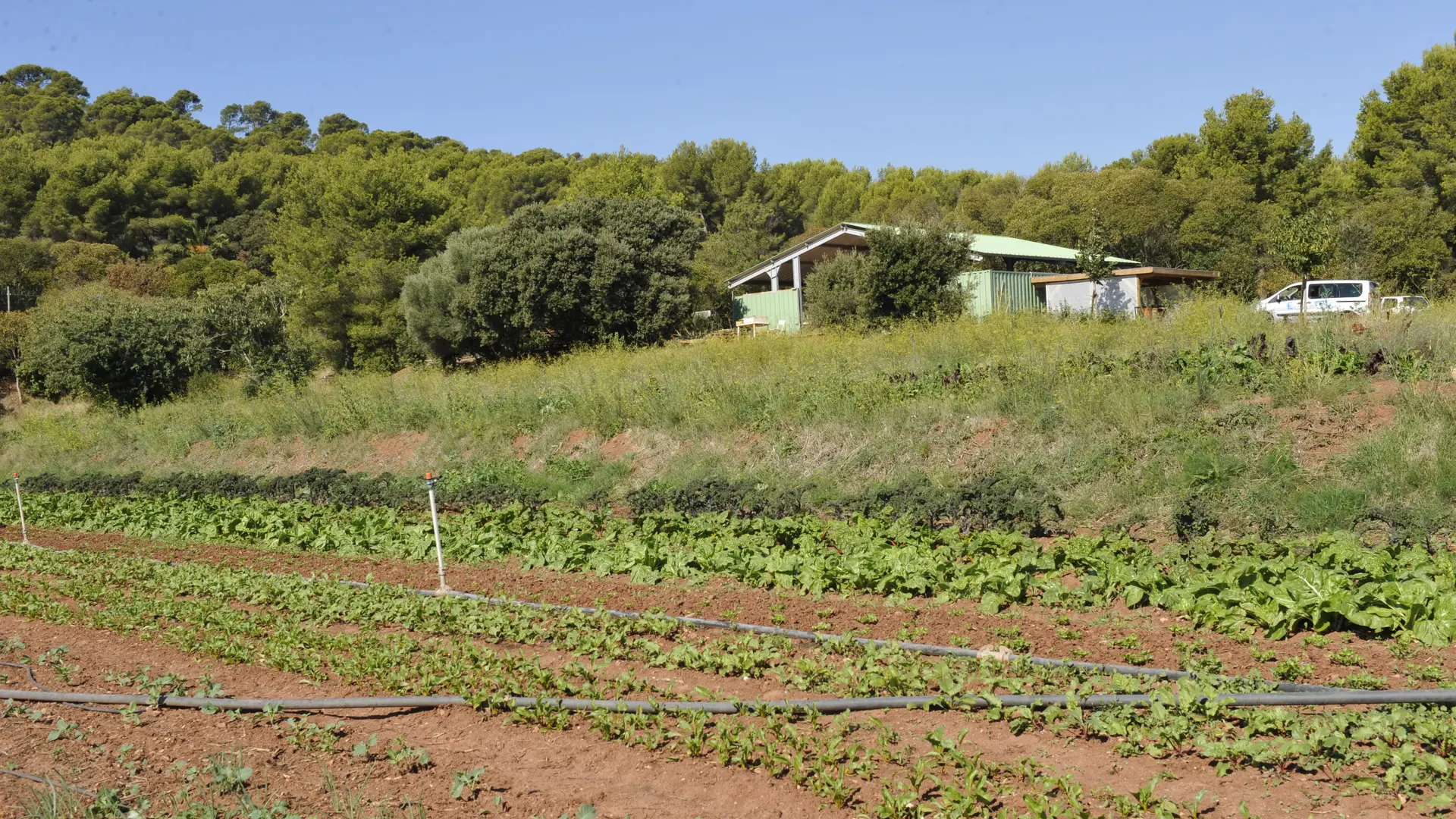 Domaine de Fabrégas, exploitation agricole