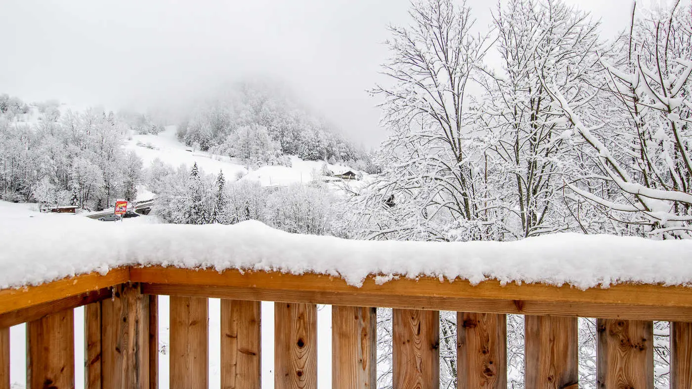 VUE D'HIVER DEPUIS LA TERRASSE PRIVATIVE