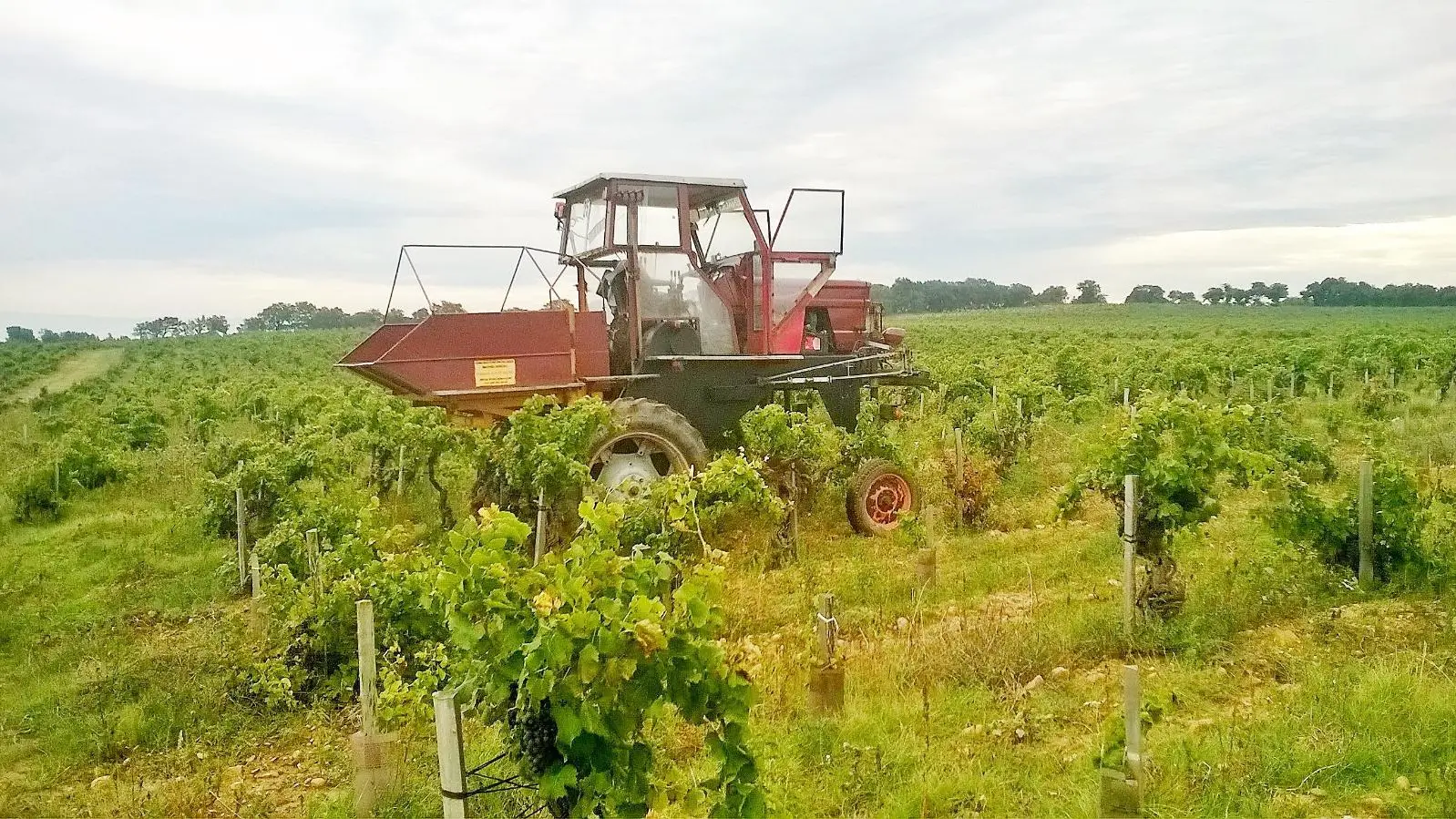 Domaine du Père Papité