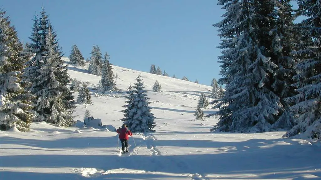 Randos en raquettes proches du Chalet