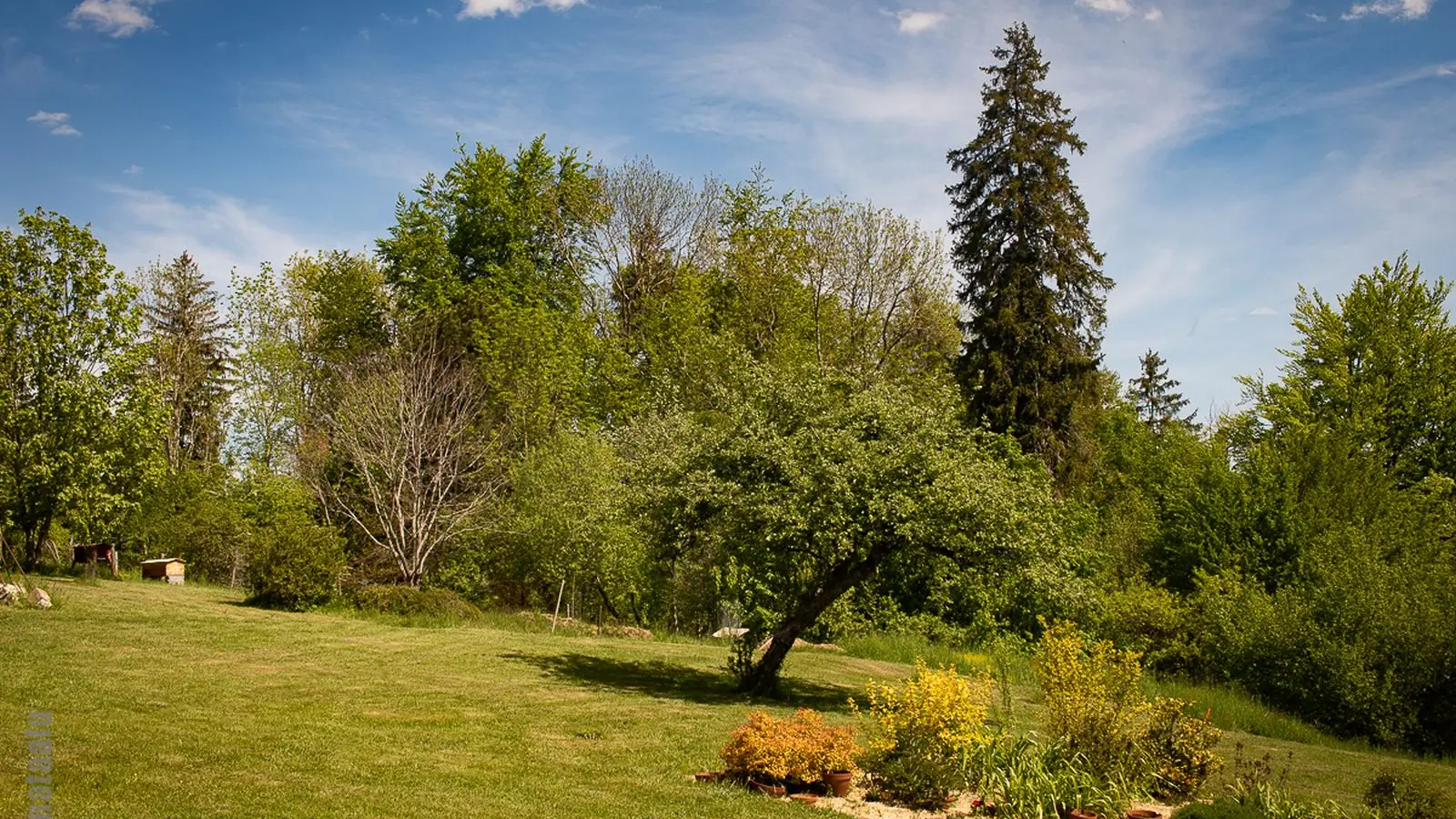 Jardin et ruches au fond