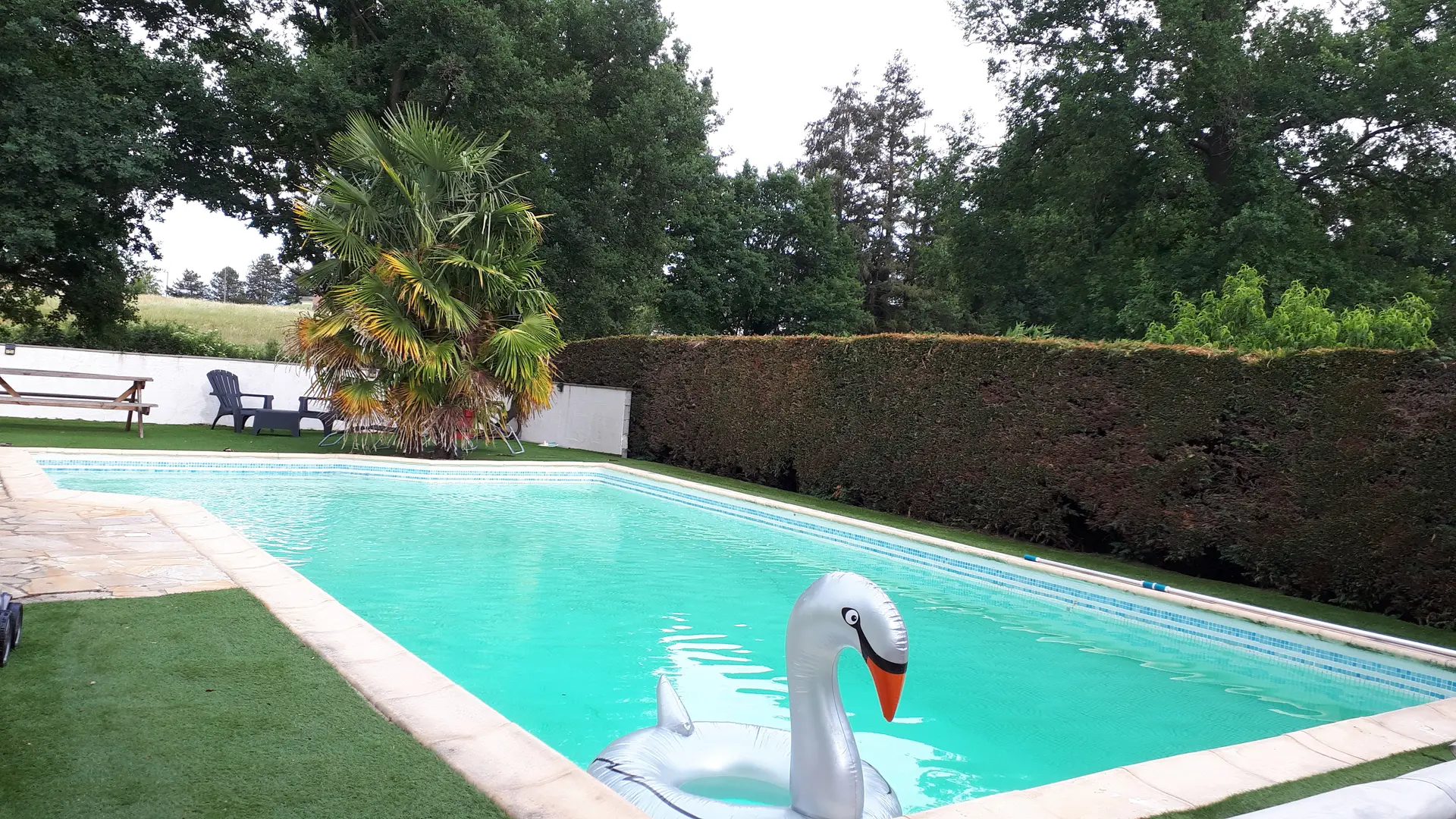 Piscine