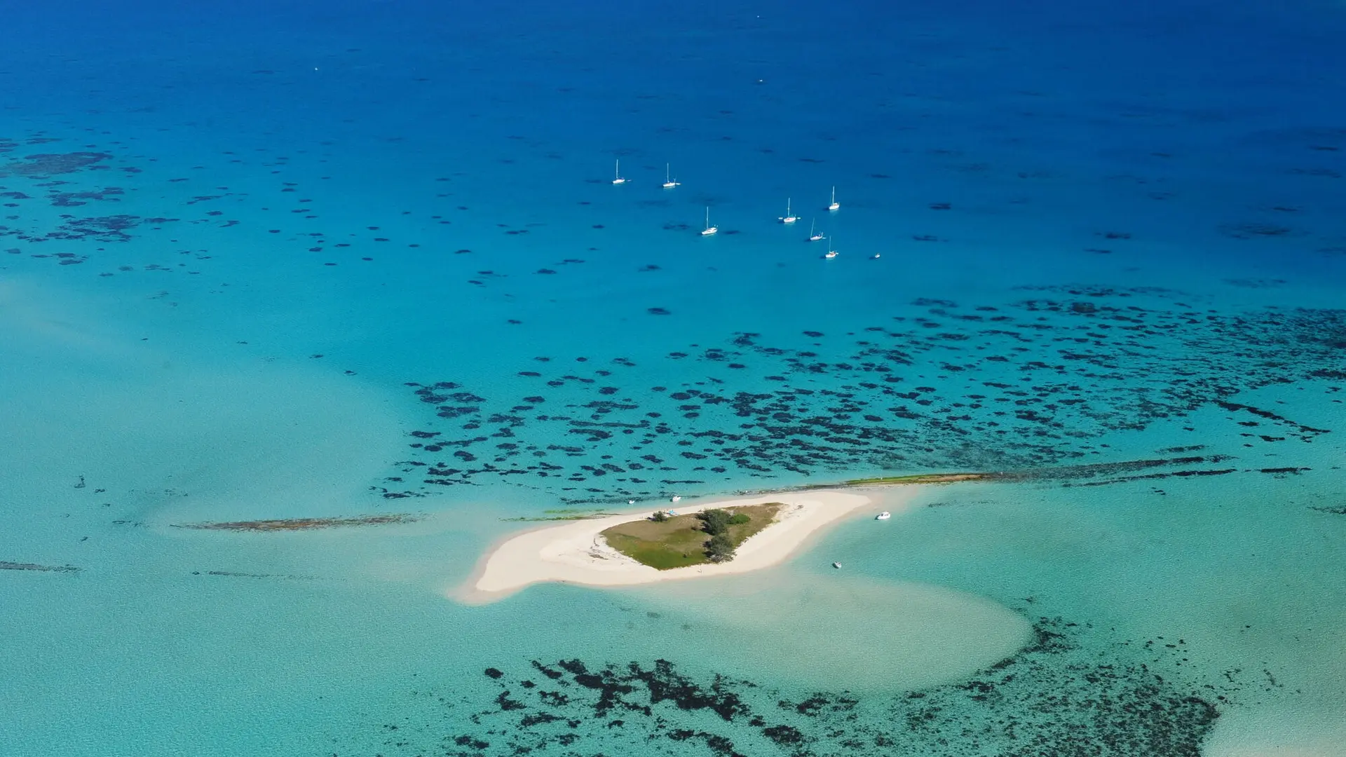 Goéland islet on the Noumea lagoon