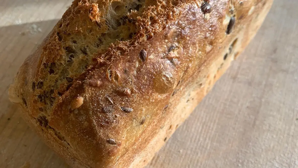 demi-complet moulé aux 3 graines