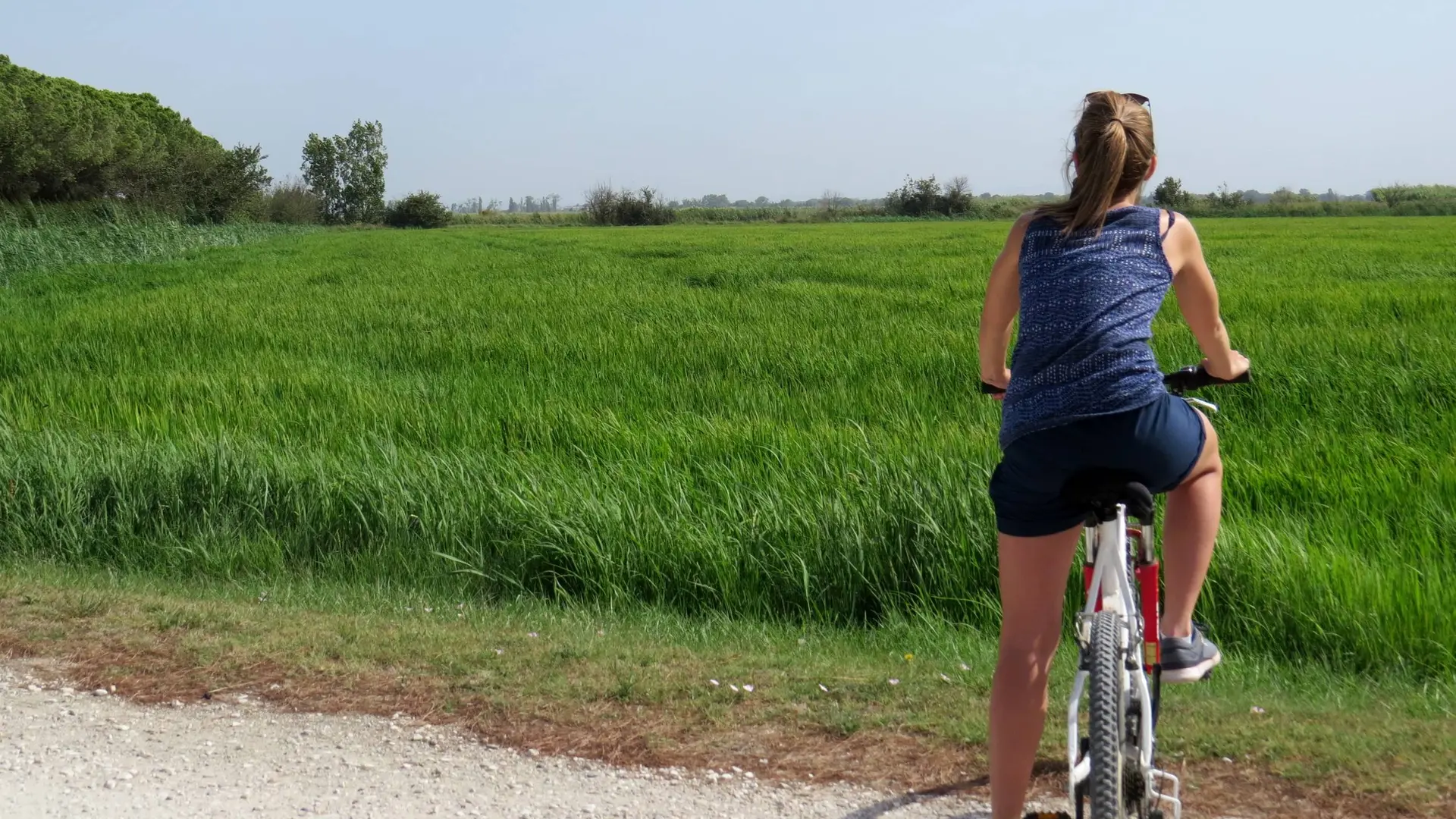 Cycliste devant une rizière