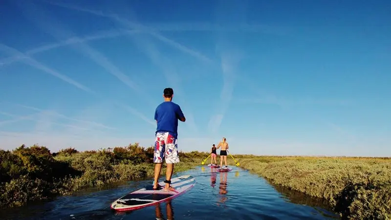 Stand up paddle dans les espaces naturels de l'île de ré