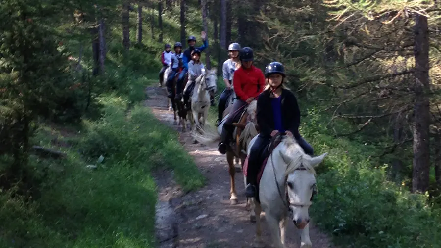 Marianne equitation