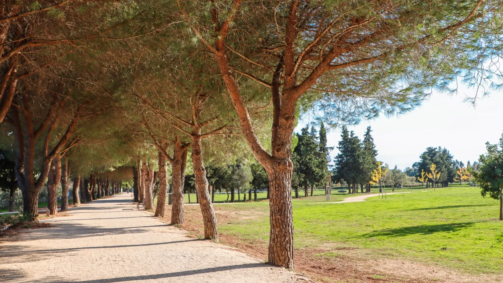 Promenade des Annamites La Londe les Maures