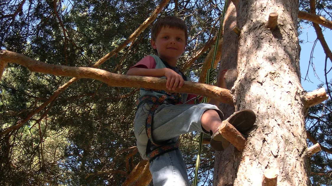 Accrobranche avec Au fil des branches