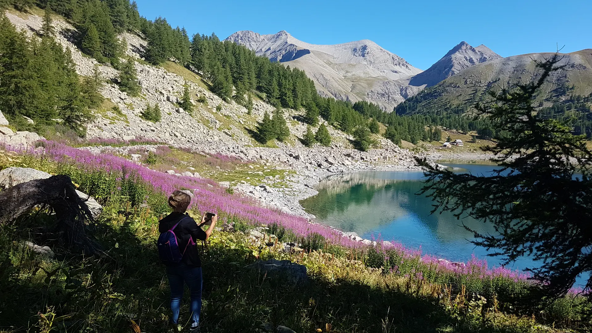 Rando terres d'Azur Lac d'Allos